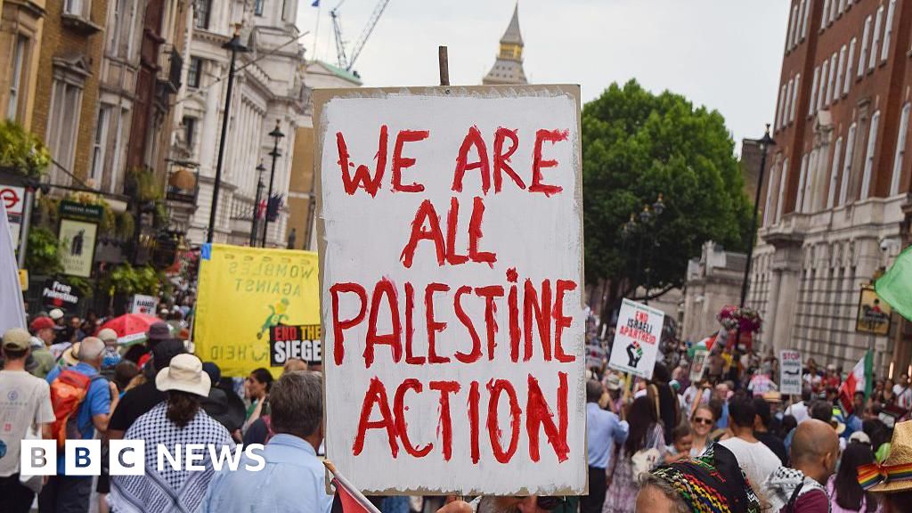 You are currently viewing Met Police chief ‘shocked’ by planned Palestine Action protest in London