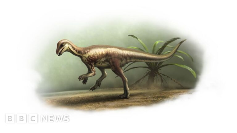 Read more about the article Natural History Museum to display rare dog-sized dinosaur