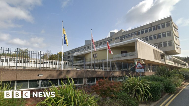 Read more about the article Reform council told to reconsider ‘grey areas’ in flag policy