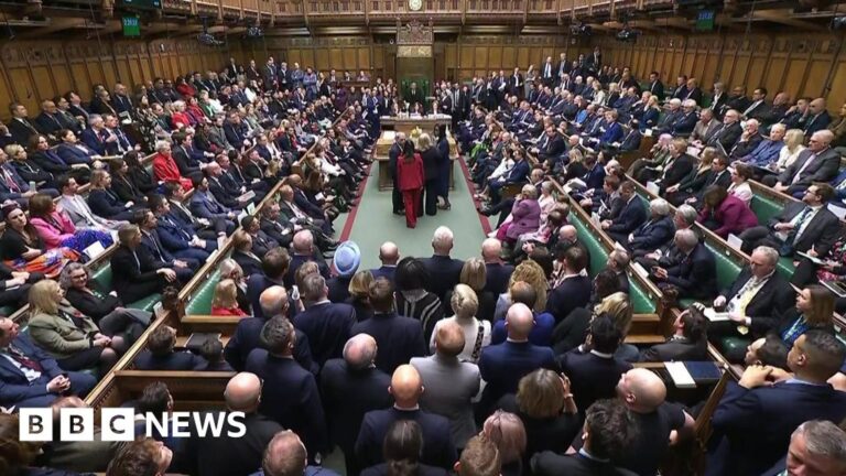 Read more about the article Two huge issues and MPs – for once