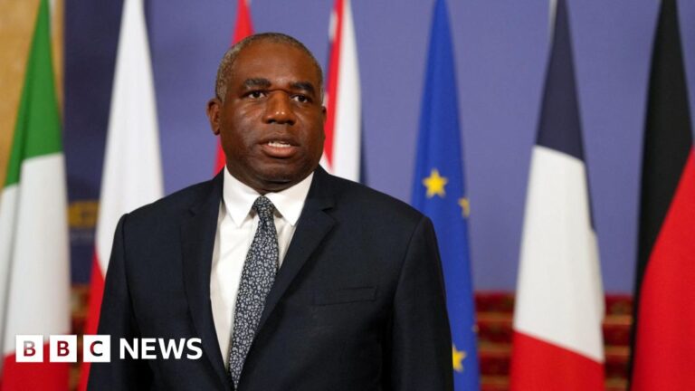 Read more about the article UK preparing to charter flights from Israel, David Lammy says