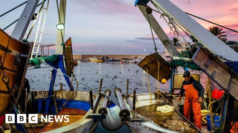 Read more about the article UK proposes wider ban on destructive ocean bottom trawling