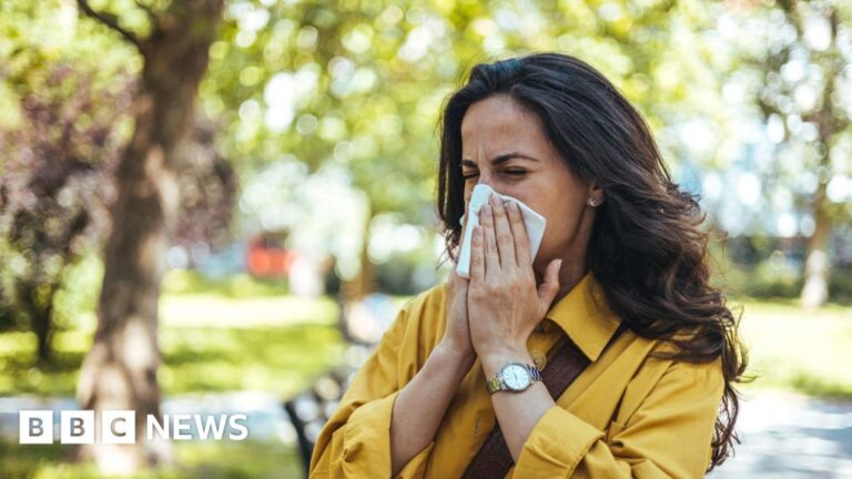 Read more about the article Why are pollen levels making hay fever so bad this year?