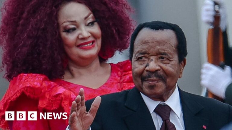 Read more about the article 92-year-old president struggles to woo young Cameroonians on social media