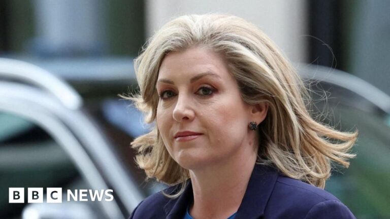 Read more about the article AI deepfake porn humiliated me, says Penny Mordaunt