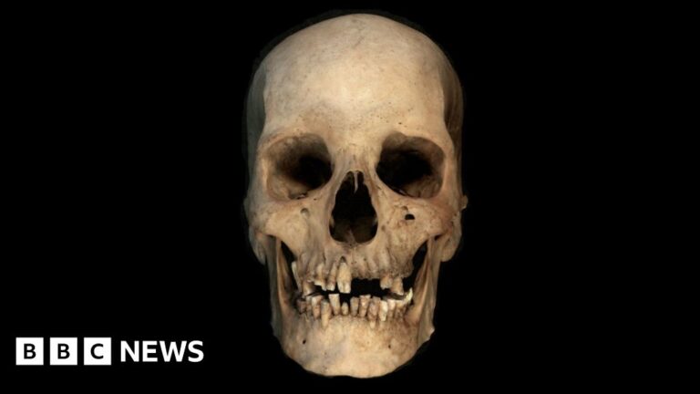 Read more about the article Ancient Egyptian history may be rewritten by a DNA bone test