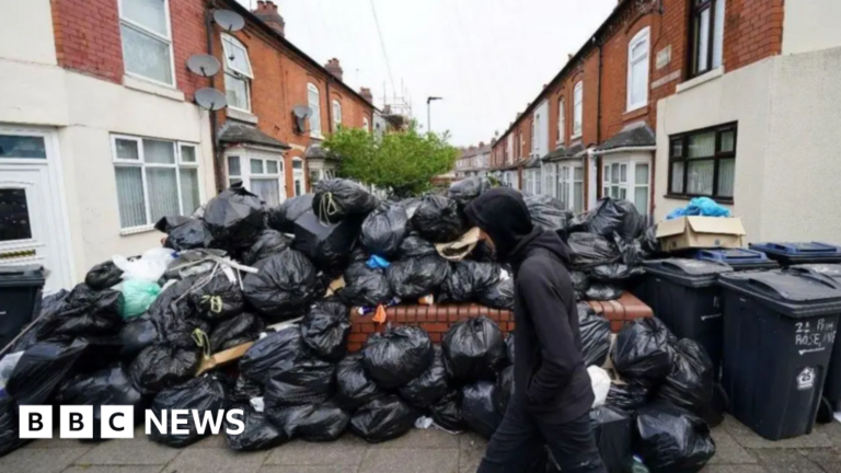 Read more about the article Birmingham bin strike talks break down as council quits