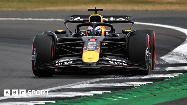 Read more about the article British Grand Prix: Max Verstappen takes pole with Oscar Piastri second and Lando Norris third