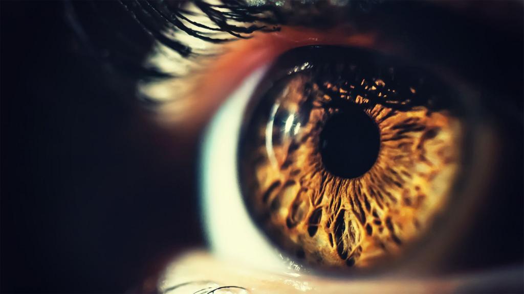 Can (and should) we cure blindness? - Stream24 News You are currently viewing Can (and should) we cure blindness?