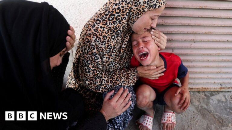 Read more about the article Children queuing for supplements killed in Israeli strike in Gaza, hospital says