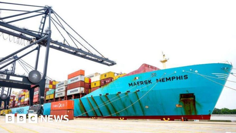 Read more about the article Donald Trump takes aim at US Fed as import drop lifts economy