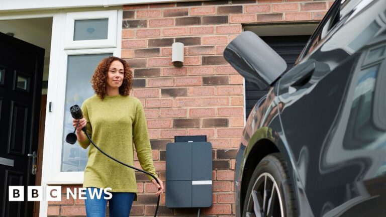 Read more about the article Electric car purchases will be cheaper, pledges Heidi Alexander