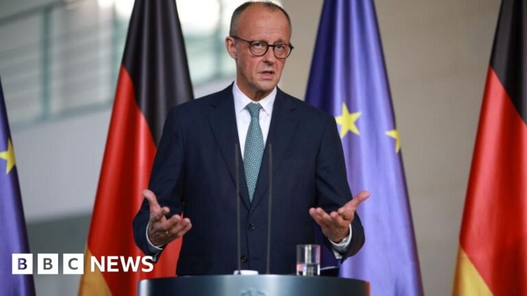 Read more about the article France and Germany lead downbeat EU response to US trade deal