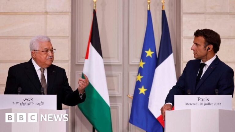 Read more about the article France to recognise Palestinian state in September