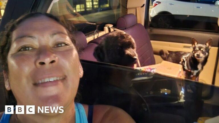 Read more about the article Hawaiians cram roads away from coasts as tsunami waves arrive