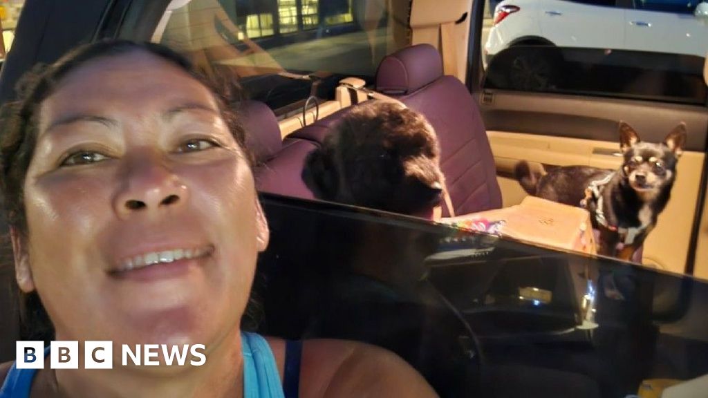 Read more about the article Hawaiians cram roads away from coasts as tsunami waves arrive