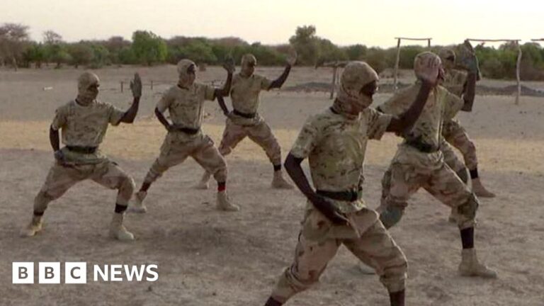 Read more about the article How an al-Qaeda offshoot became one of Africa’s deadliest militant groups