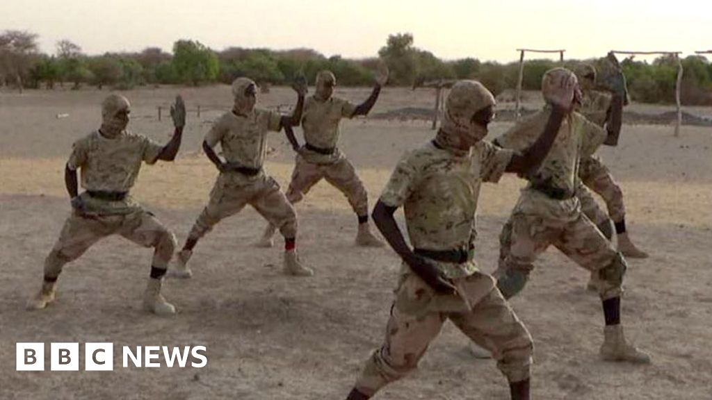 You are currently viewing How an al-Qaeda offshoot became one of Africa’s deadliest militant groups