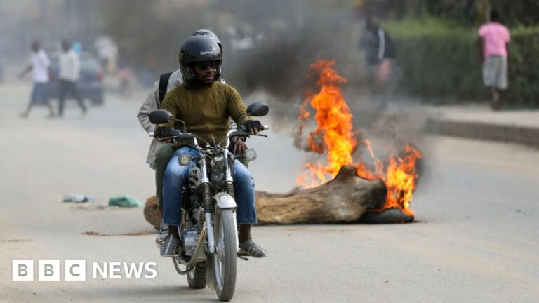 Read more about the article Hundreds of arrests during deadly fuel-price-rise demonstrations