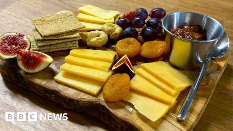 Read more about the article Lab-grown cheese is coming – but would you eat it?