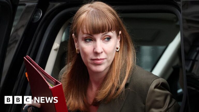 Read more about the article Labour not defending workers, says Unite after Rayner row