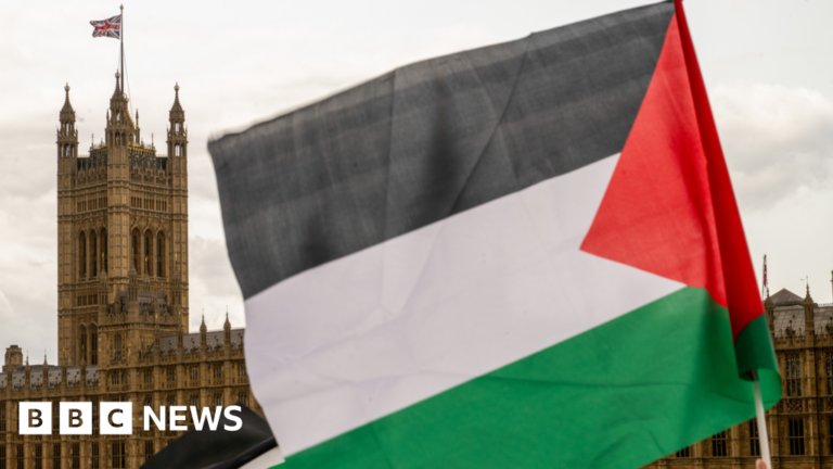 Read more about the article MPs urge UK to immediately recognise Palestinian state