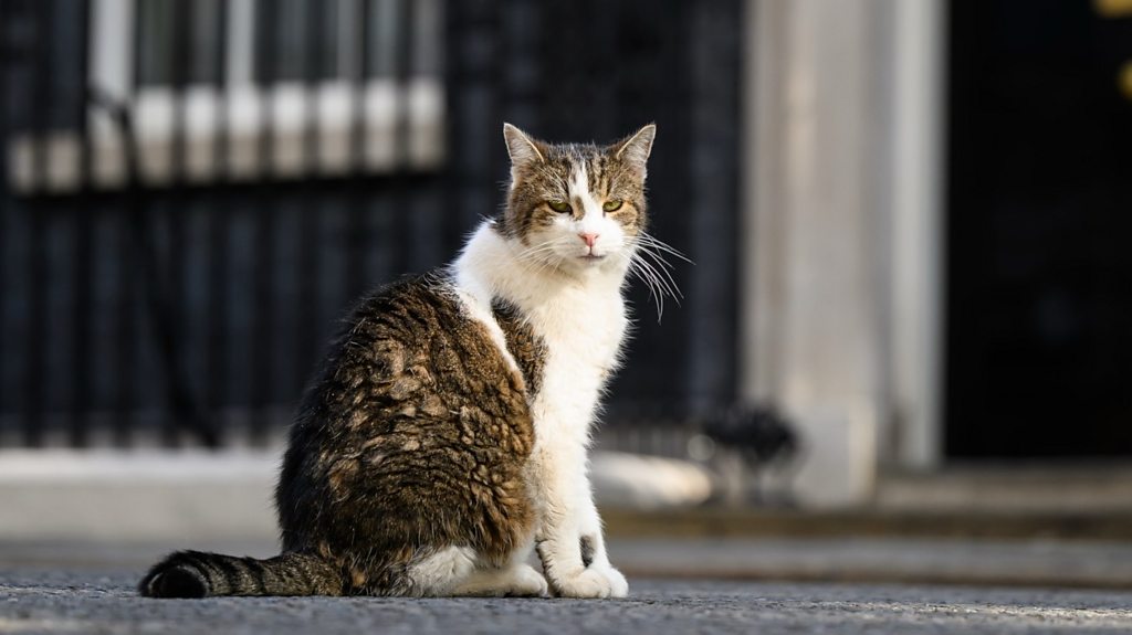 Read more about the article Macron jokes about Larry the cat with Starmer and Reeves