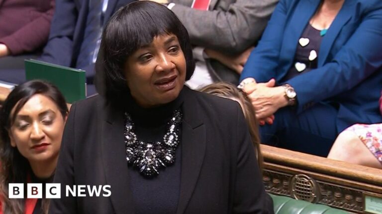 Read more about the article Minister denies Labour wants Diane Abbott out of party