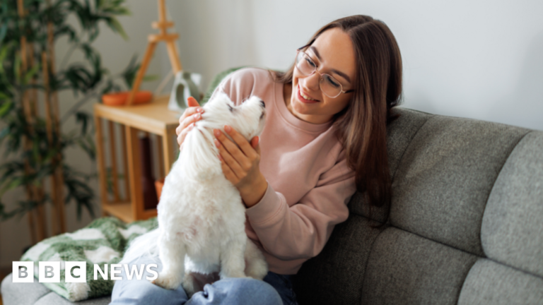 Read more about the article Ministers ditch pet insurance rule for renters in England