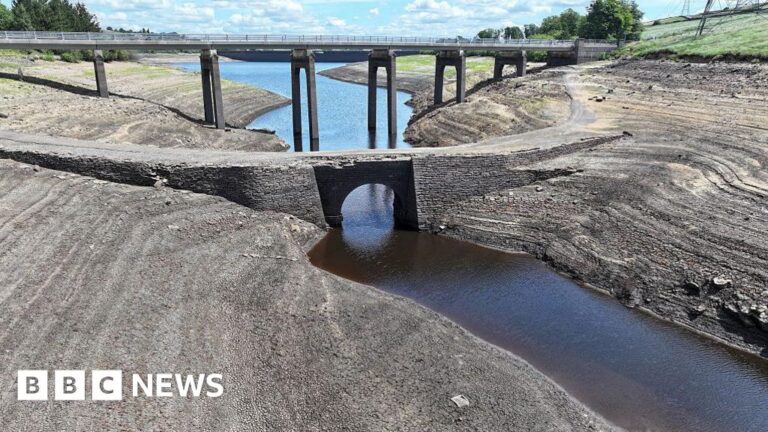 Read more about the article More droughts expected to be declared in England after heatwaves