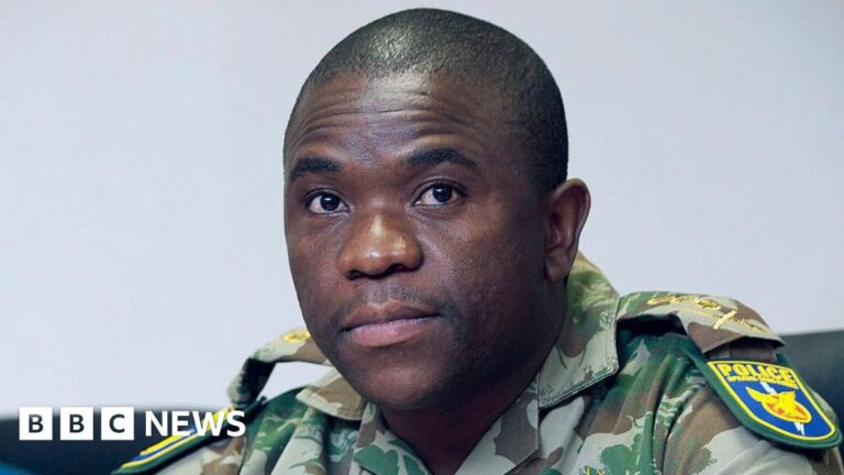 Read more about the article Nhlanhla Mkhwanazi: The top cop who stood up to politicians