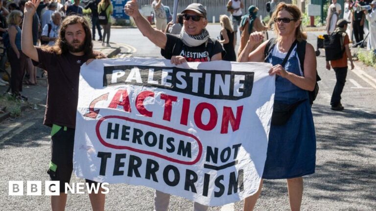 Read more about the article Palestine Action can challenge UK ban, court rules