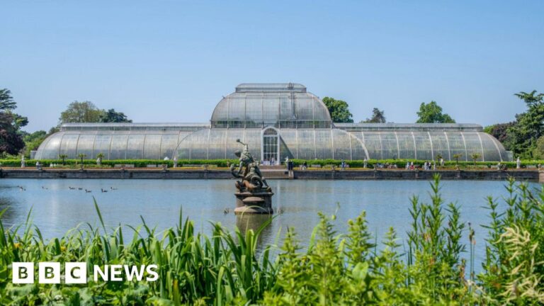 Read more about the article Palm House set for major renovation