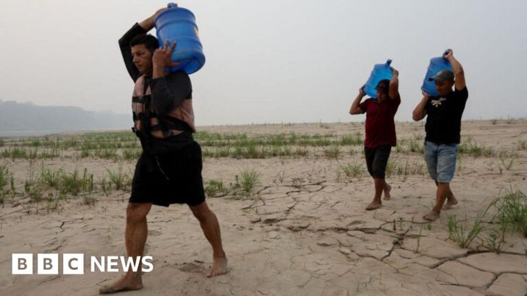 Read more about the article Recent droughts are ‘slow-moving global catastrophe’