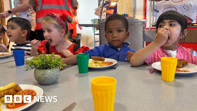 Read more about the article School meals smaller and have less meat due to cost, caterers say