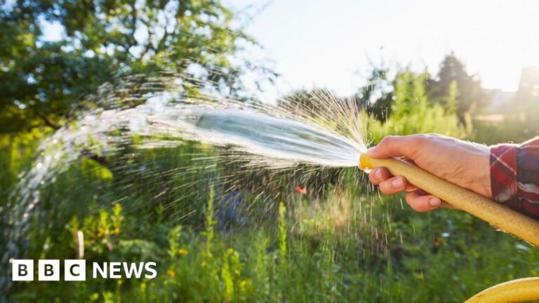 Read more about the article South East Water hosepipe and sprinkler ban comes into force
