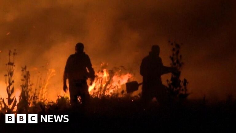 Read more about the article Southern European heatwave fans multiple wildfires