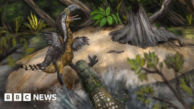 Read more about the article Teeth marks suggest ‘terror bird’ was killed by reptile 13 million years ago