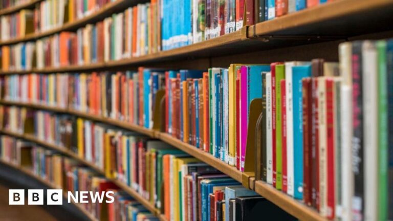 Read more about the article Trans books removed from children’s library, Reform council says