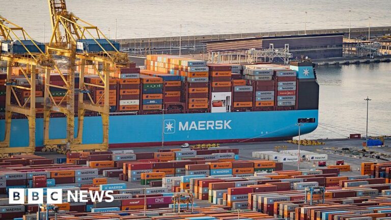 Read more about the article US-EU tariff deal a big Trump win but not a total defeat for Brussels