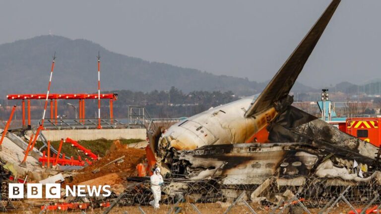Read more about the article Victims’ families decry report blaming pilot error