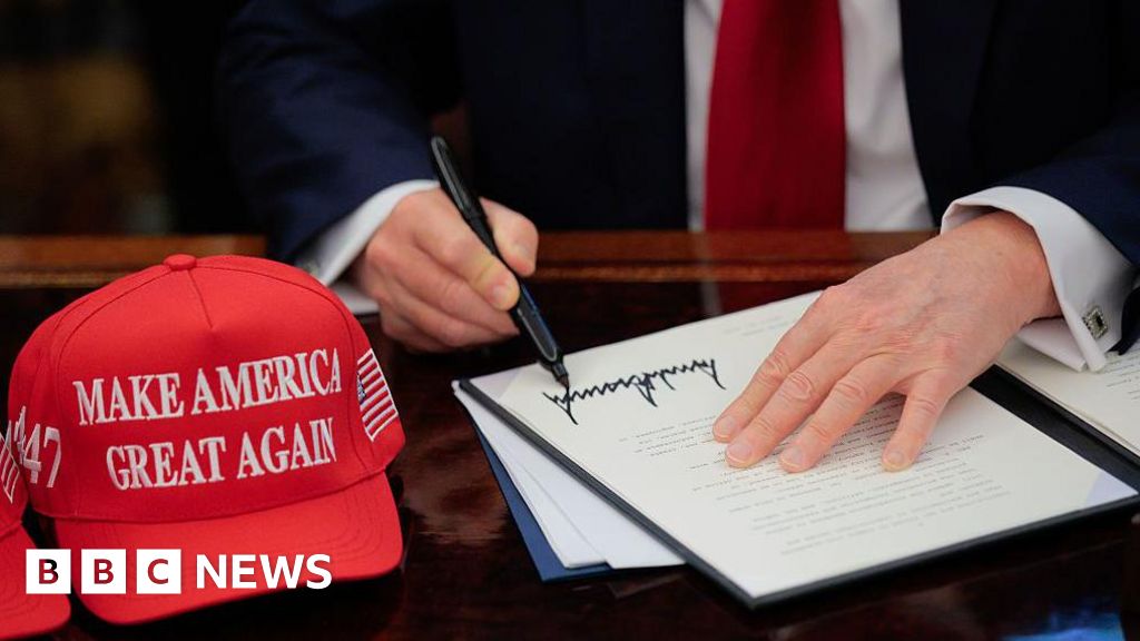 Read more about the article What are tariffs, how do they work and why is Trump using them?