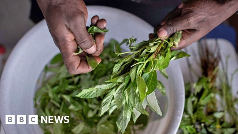 Read more about the article Why Kenya’s forgotten indigenous vegetables are proving a culinary hit