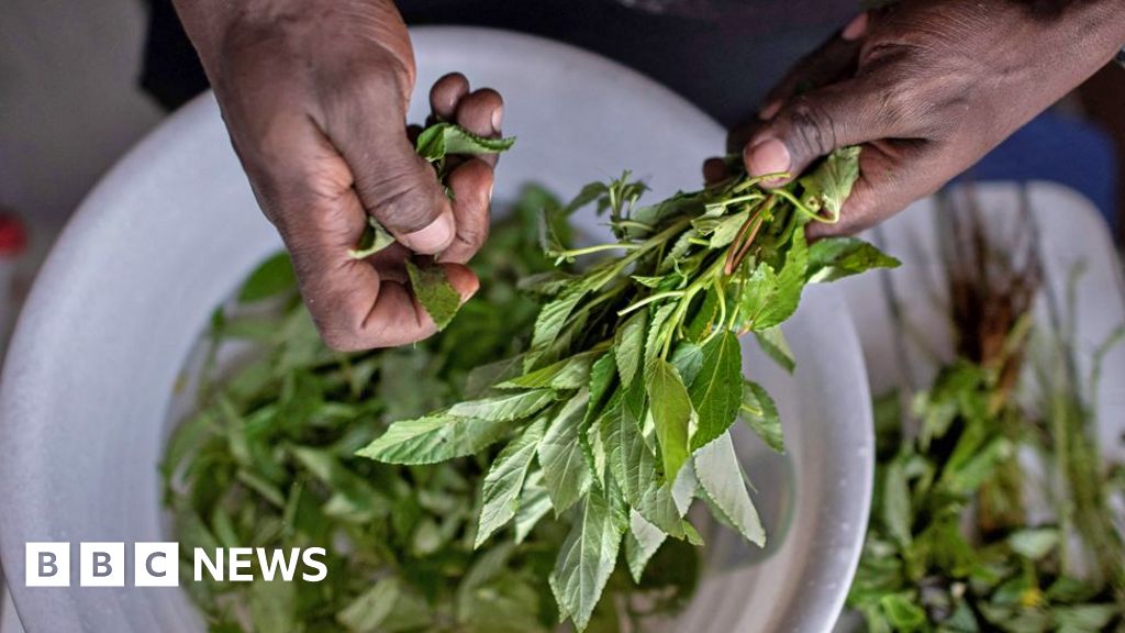 You are currently viewing Why Kenya’s forgotten indigenous vegetables are proving a culinary hit