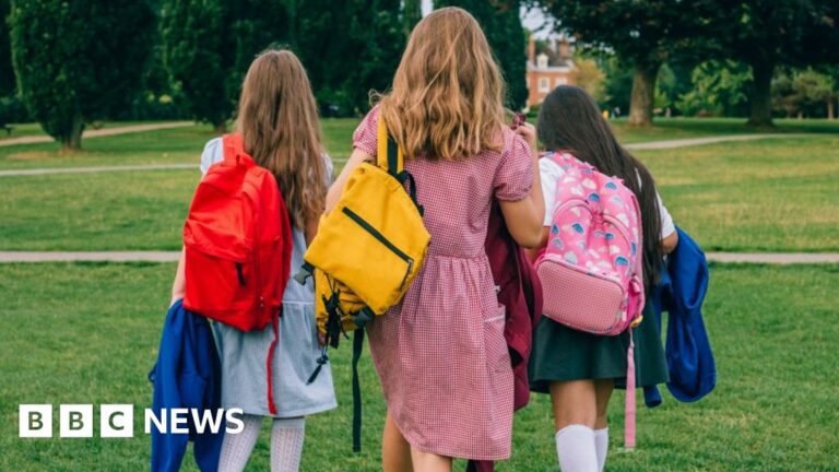 Read more about the article Would shorter summer school holidays be better?