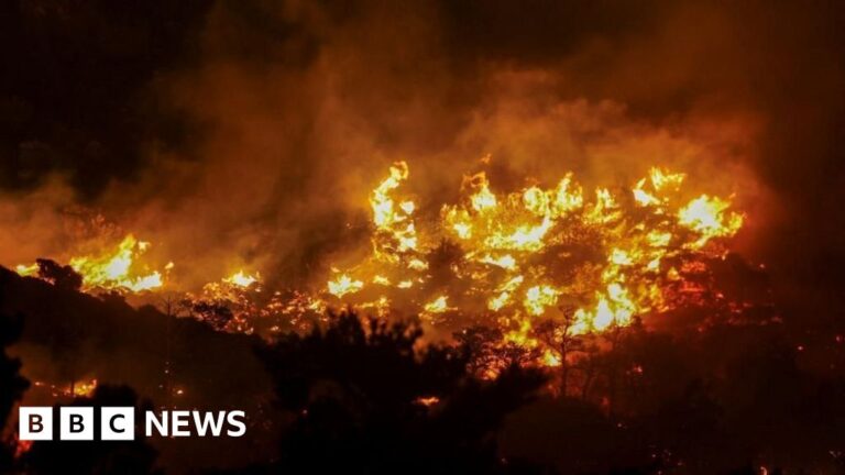 Read more about the article mass evacuations as blaze rages near Ierapetra, Crete