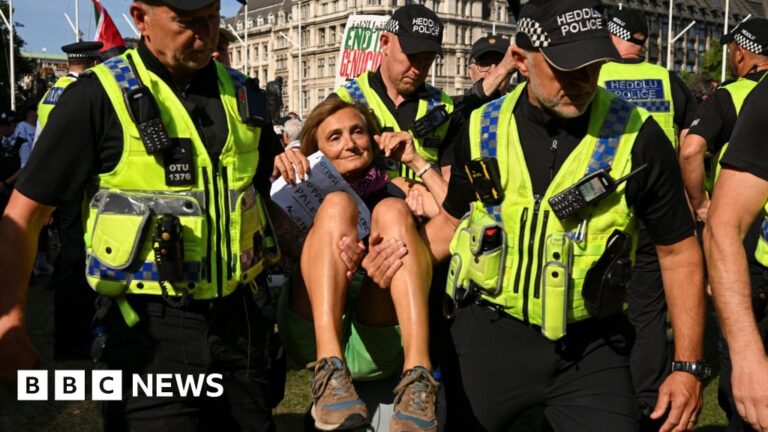 Read more about the article After mass arrests, what happens next with Palestine Action ban?