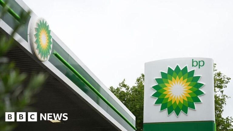 Read more about the article BP makes biggest find in 25 years as it refocuses on fossil fuels