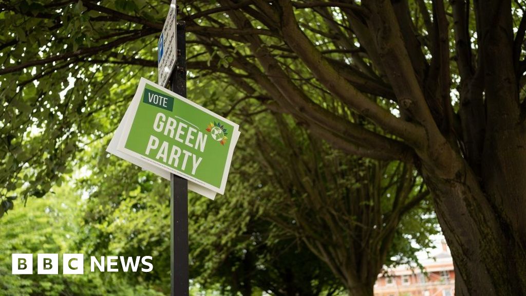 Read more about the article Green Party members start choosing new leadership