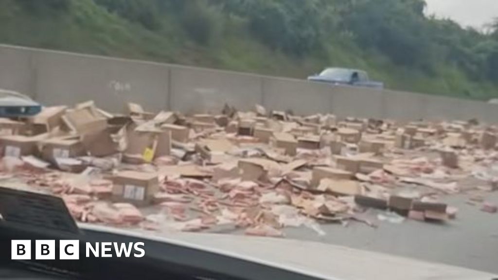 Read more about the article Hot dog spill brings US highway to standstill